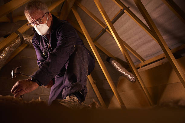 Best Specialty Insulation in Fosston, MN